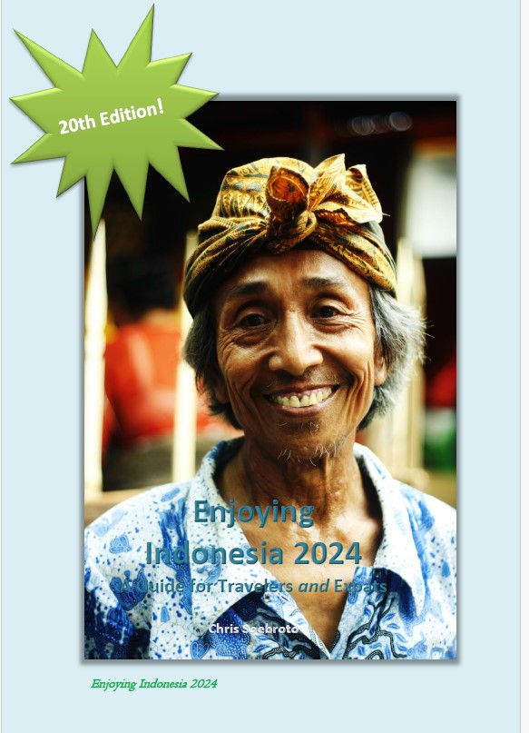 free e-book Enjoying Indonesia